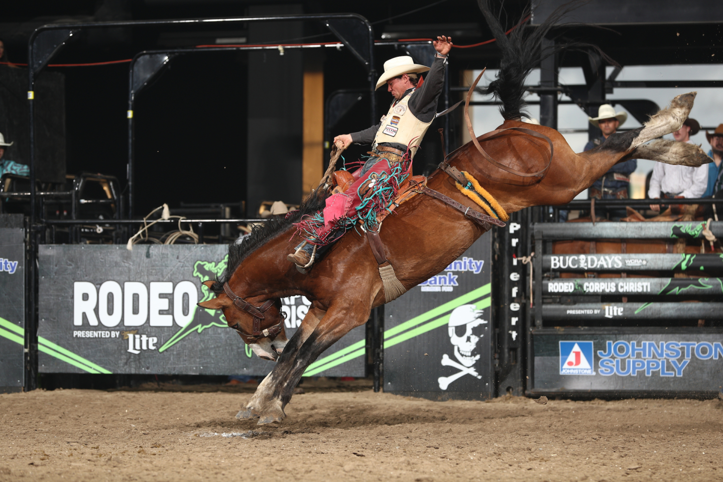 Cole Elshere Opens New Doors with the World Champion’s Rodeo Alliance