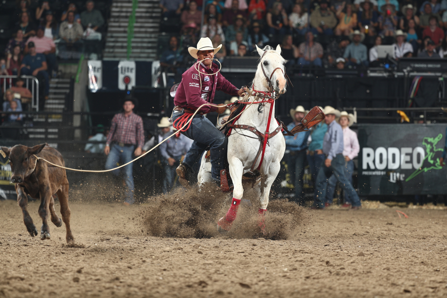 Shad Mayfield Wins Reno Rodeo, Dominates Tie Down Roping Leaderboard